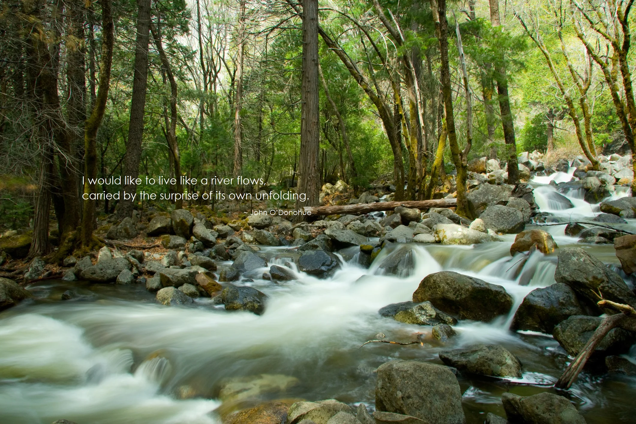 river spring with quote.jpg
