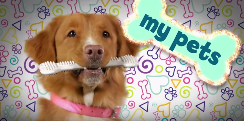 Screen Shot 2016-09-14 at 1.53.31 PM.png