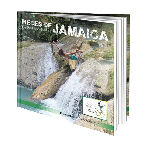 poj_book-500x500.jpg
