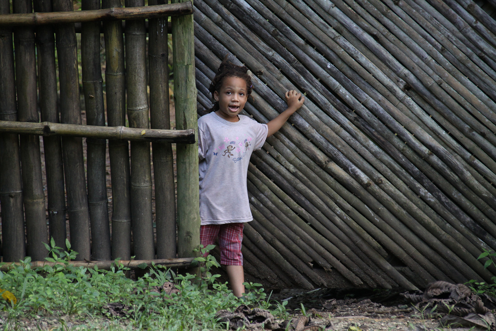 Bamboo girl