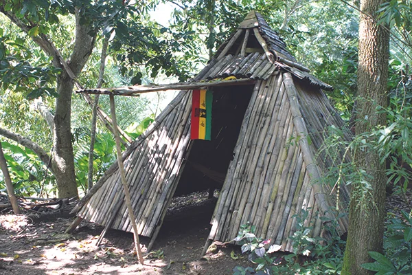 Jah TP - Montego Bay