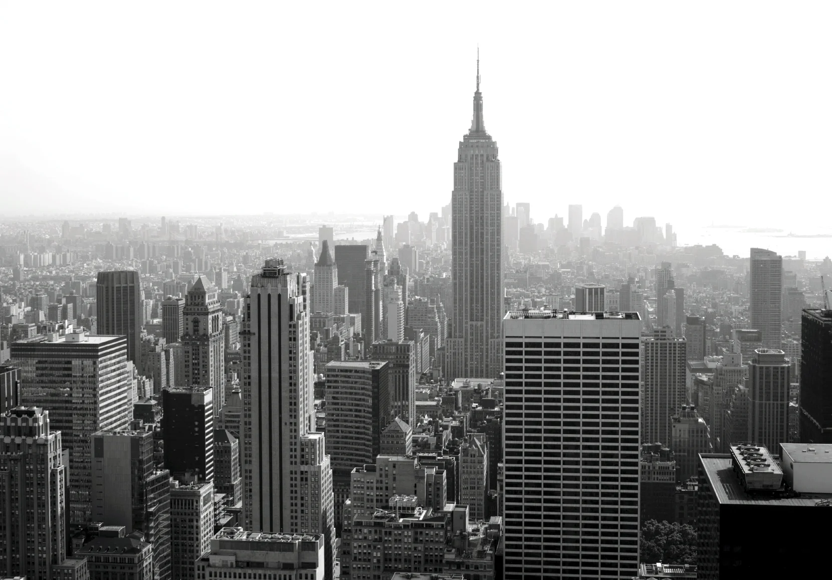 city skyline.jpeg