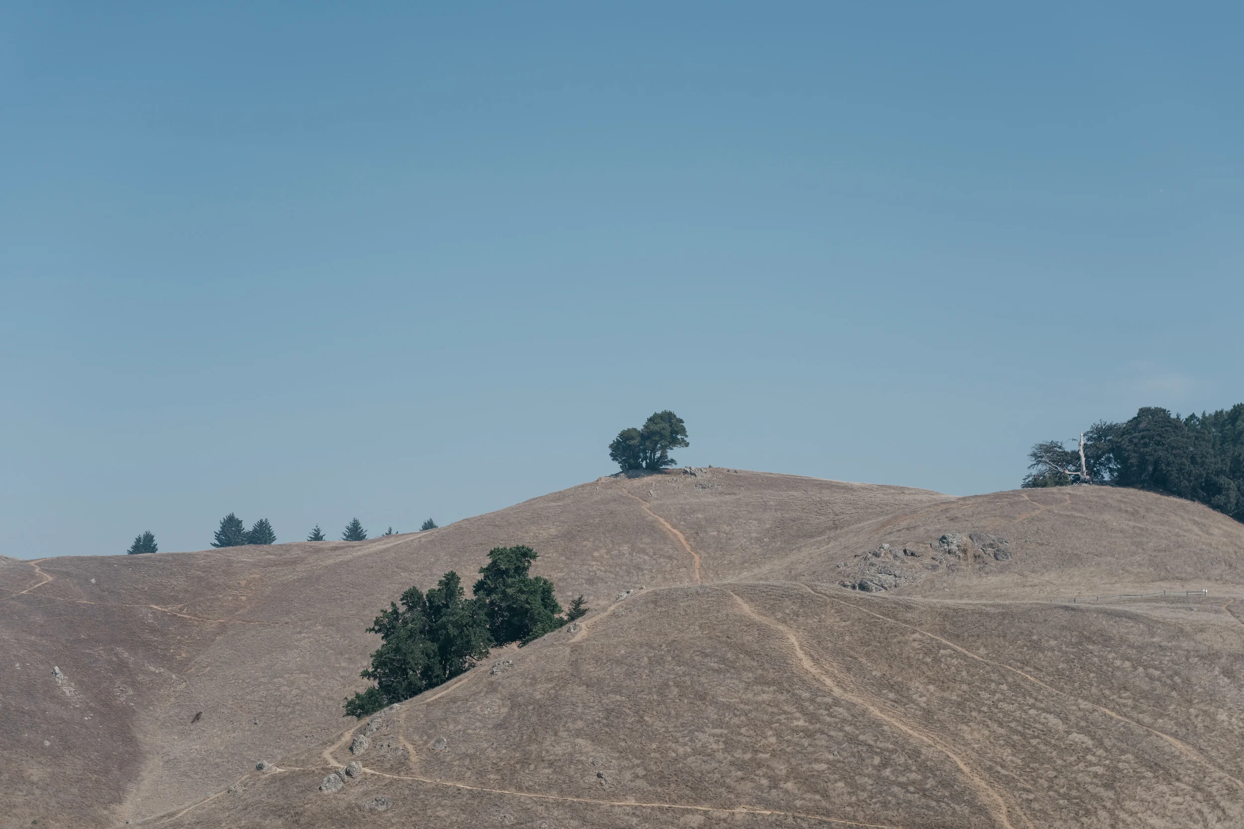 ca-04618.jpg