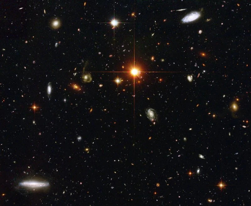 10150270257356393.jpg