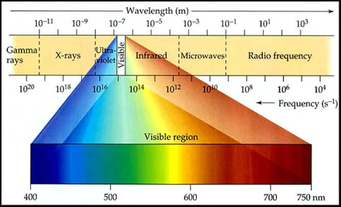 10152373584171393.jpg