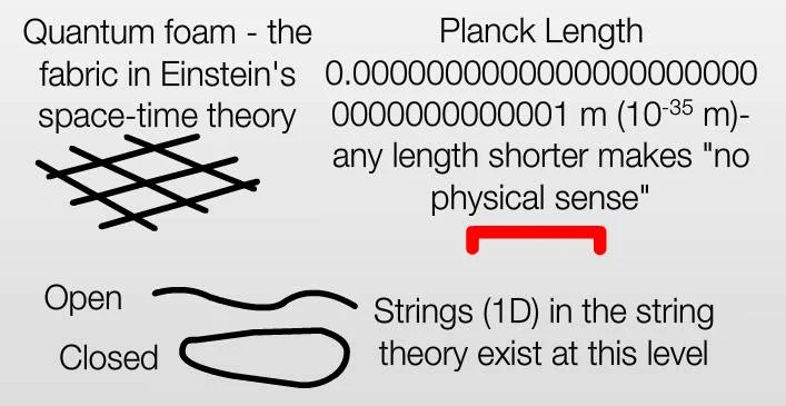 10152435721396393.jpg