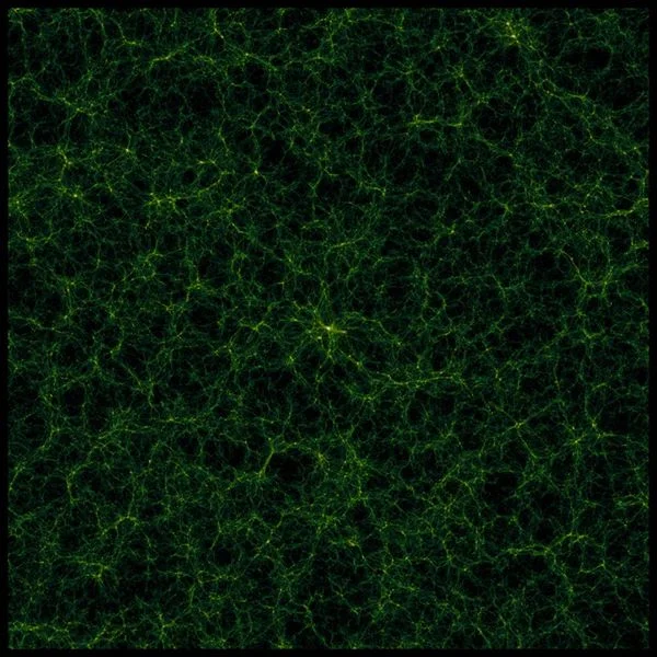 10151290008321393.jpg