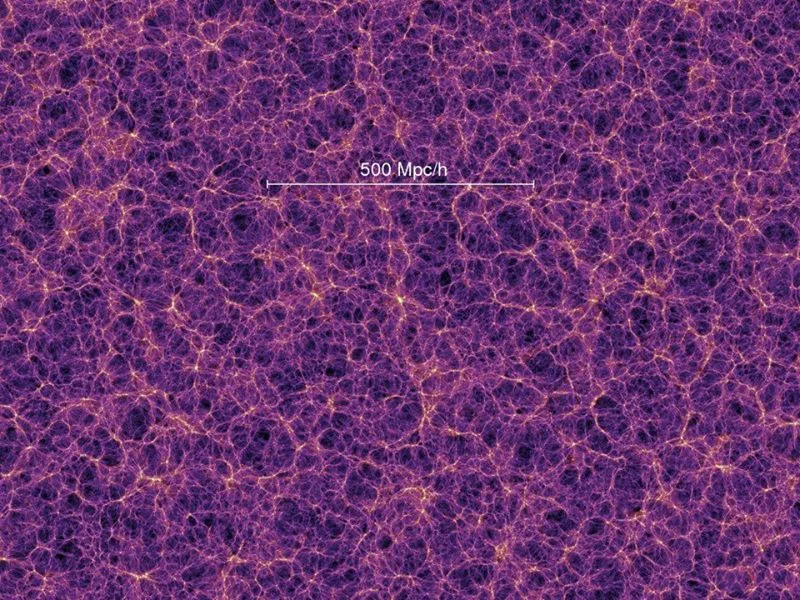 10151290008461393.jpg