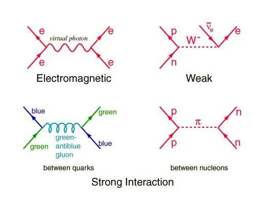 MEANING OF FEYNMAN DIAGRAMS | MH SEYMOUR