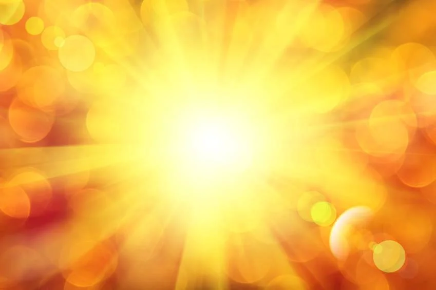 OM! THERE IS NOTHING INSENTIENT | SATYA सत्य