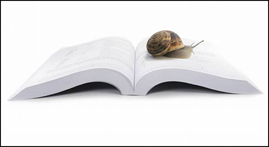 SLOW READING ( LENTO ) | FRIEDRICH NIETZSCHE