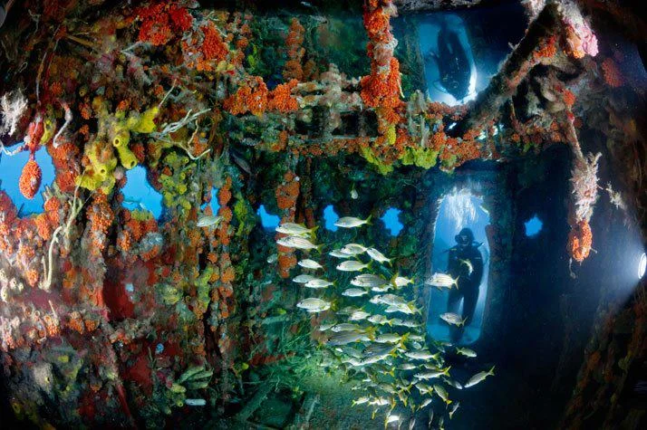 MARINE BIOLOGY & OCEAN SCI | 00054