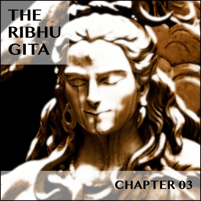 RIBHU GITA | CHAPTER 03 | SELECTIONS