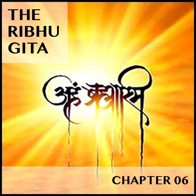 RIBHU GITA | CHAPTER 06 | SELECTIONS