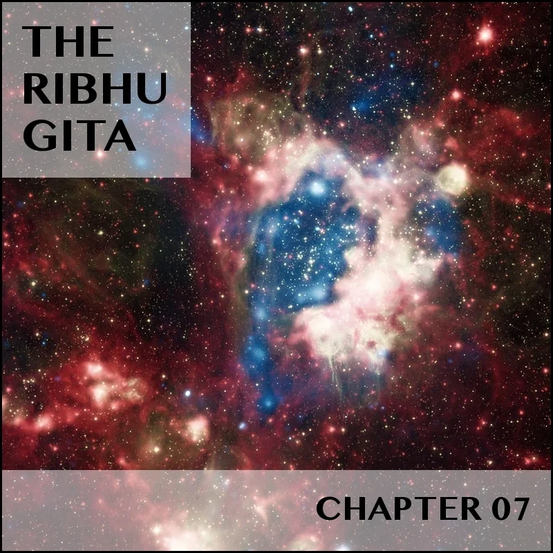 RIBHU GITA | CHAPTER 07 | SELECTIONS