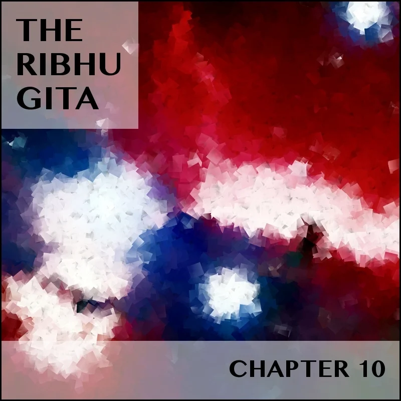 RIBHU GITA | CHAPTER 10 | SELECTIONS