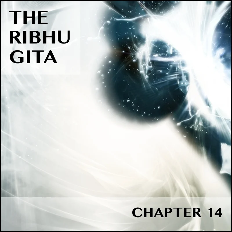 RIBHU GITA | CHAPTER 14 | SELECTIONS