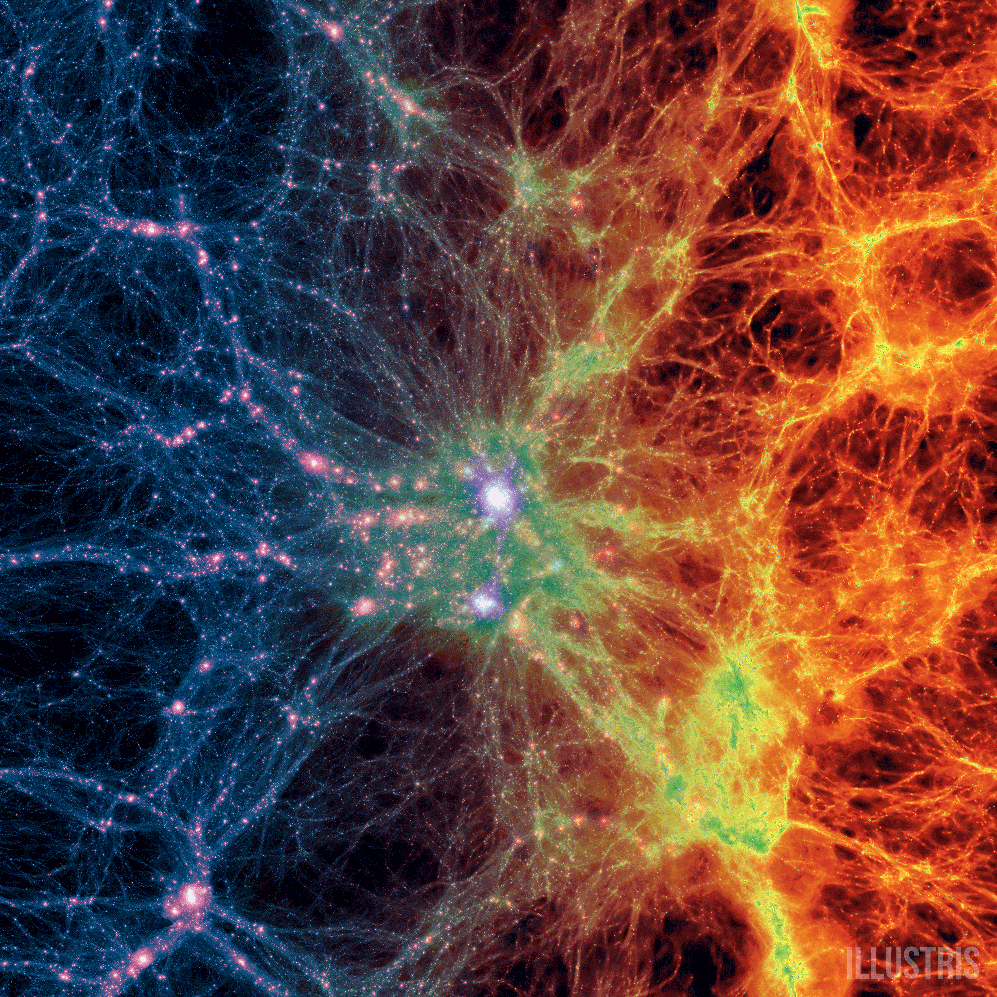 illustris_box_dmdens_gasdens.png