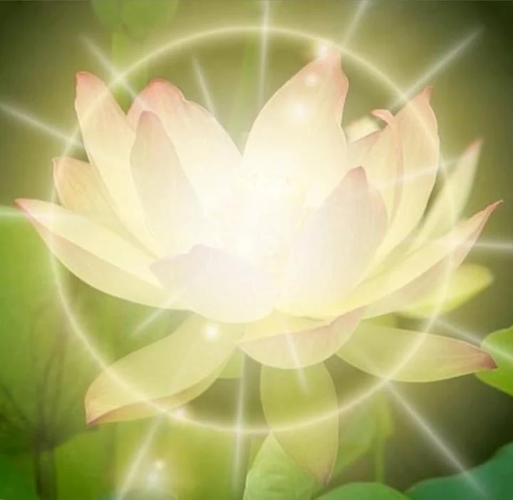 CHANDOGYA UPANISAD | 6.2.1 | AMOETD