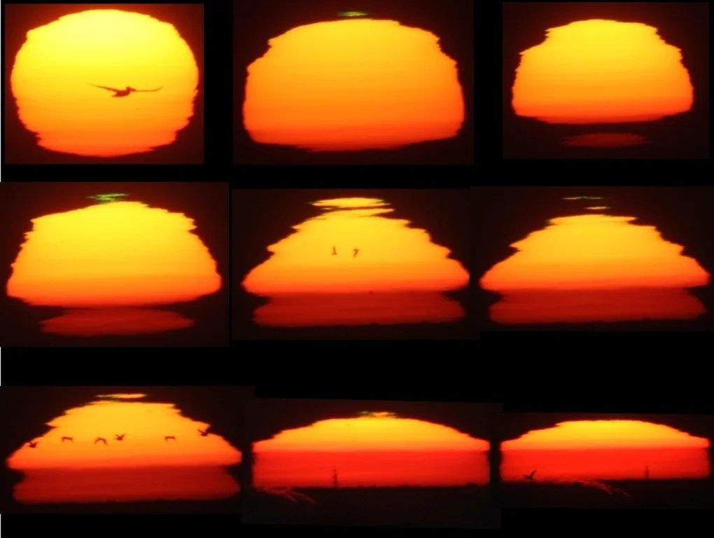 YVM | SELECT | V2.1 | B3 | CH LXXXXI + LXXXXII