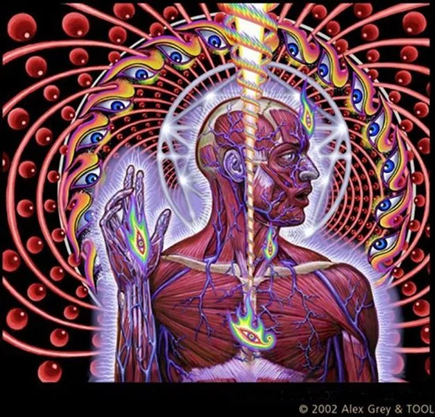 PSSV 37+325 | OM! THE WHOLE TRUTH