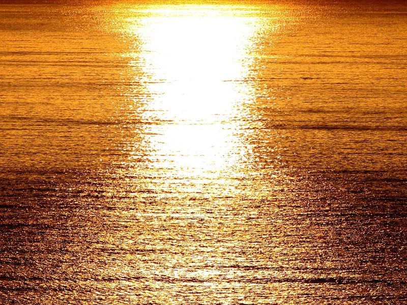 PSSV 111 | OM! IN ECSTASY OF THAT