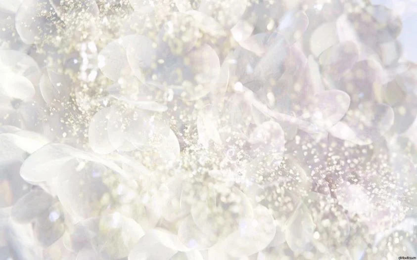 PSSV 297 | OM! OCEAN OF TRUTH