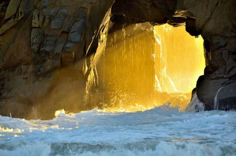 PSSV 343 | OM! THE UNVEILING