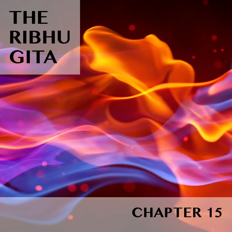 RIBHU GITA | CHAPTER 15 | SELECTIONS