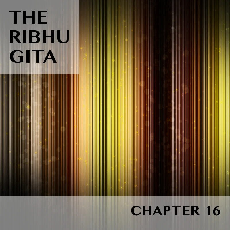 RIBHU GITA | CHAPTER 16 | SELECTIONS
