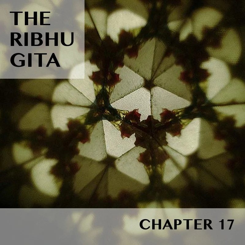 RIBHU GITA | CHAPTER 17 | SELECTIONS | PART 1