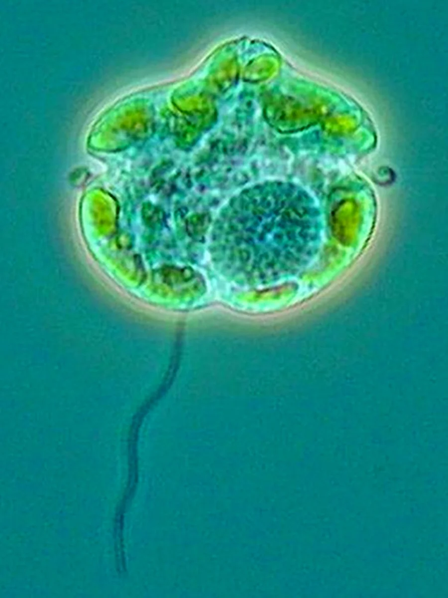 MARINE BIOLOGY & OCEAN SCI | 00283