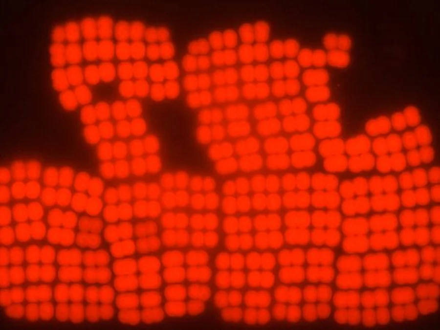 MARINE BIOLOGY & OCEAN SCI | 00289