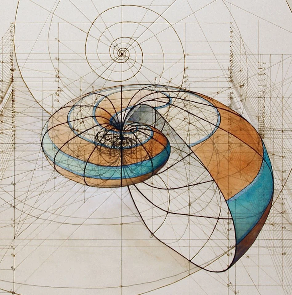 MARINE BIOLOGY & OCEAN SCI | 00297