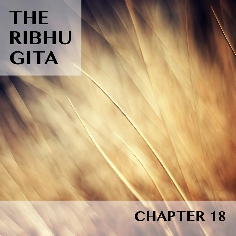 RIBHU GITA | CHAPTER 18 | SELECTIONS | PART 1