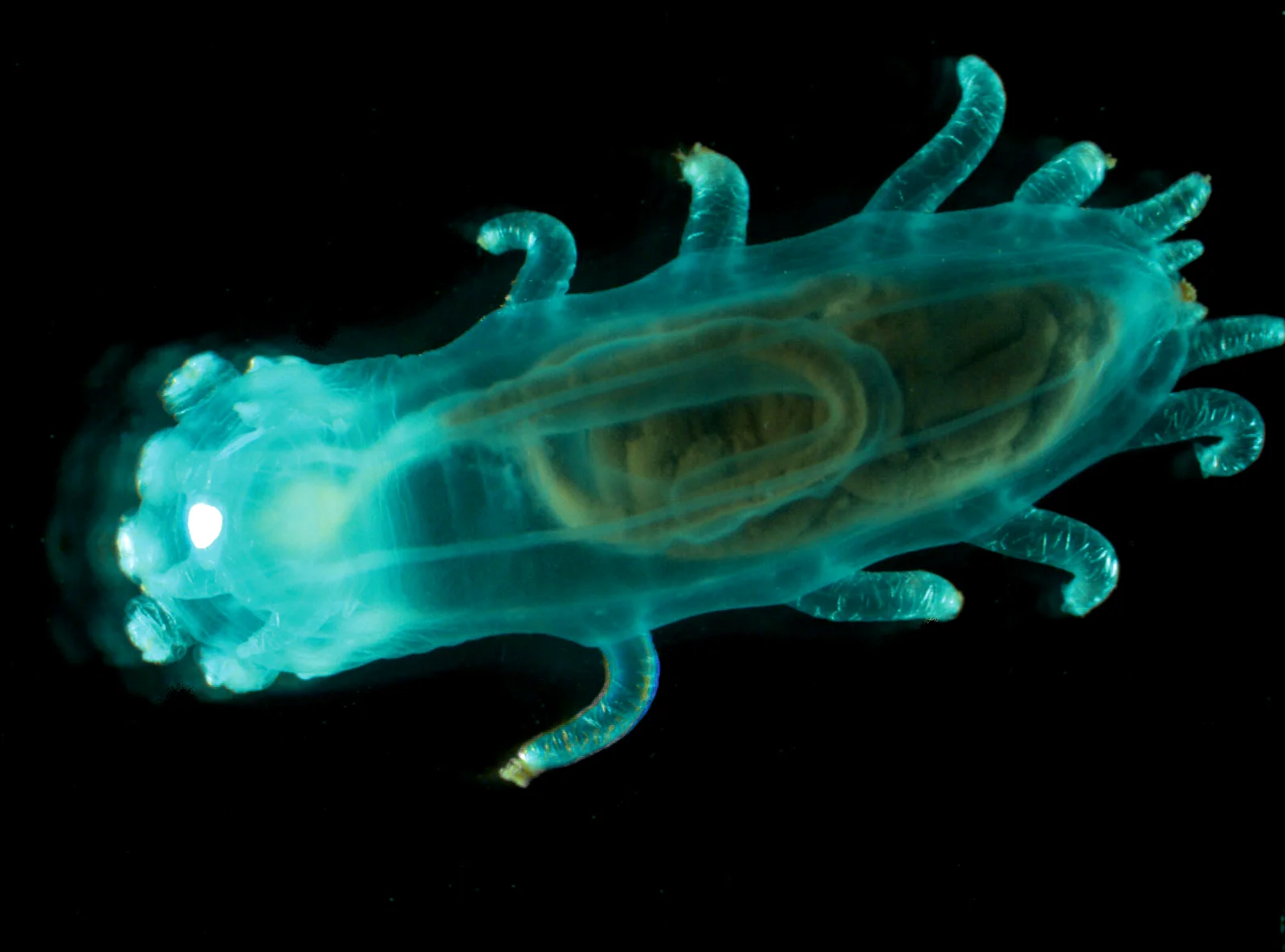 MARINE BIOLOGY & OCEAN SCI | 00304