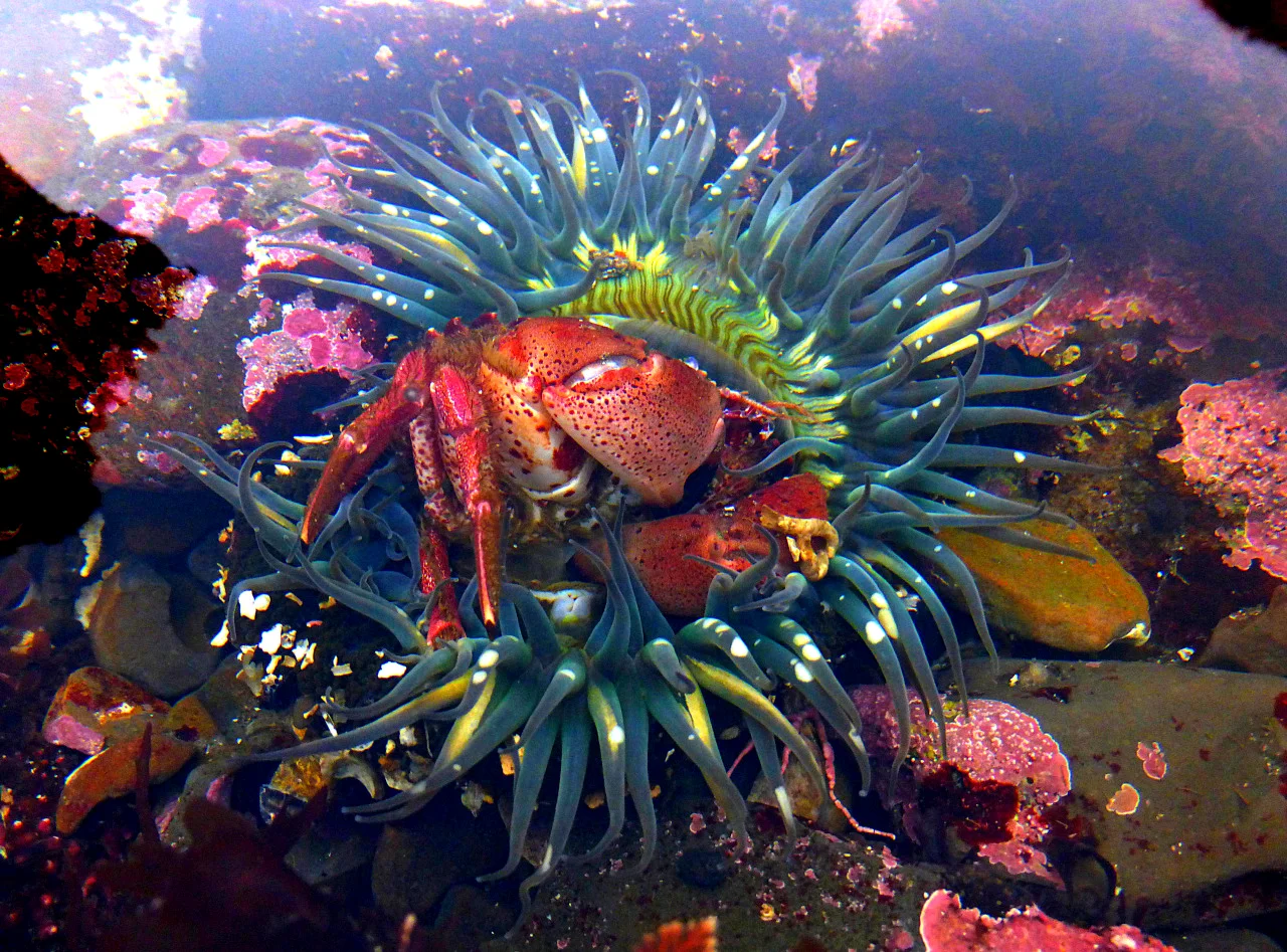 MARINE BIOLOGY & OCEAN SCI | 00306