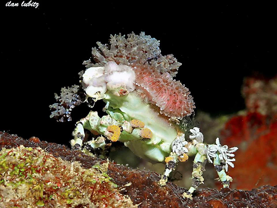 MARINE BIOLOGY & OCEAN SCI | 00310