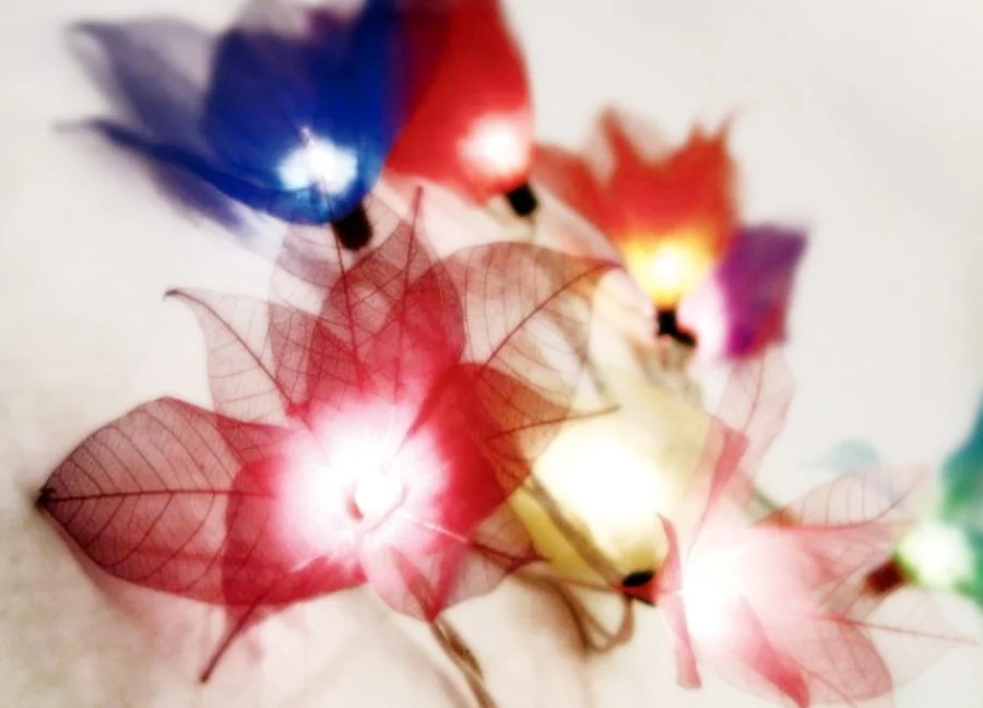 BRAHMA SUTRA BHASYA | I.III.06.22+23