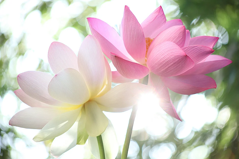 EPISTLE ON SUFISM | CHAP 3 | BACKBITING | QUSHAYRI