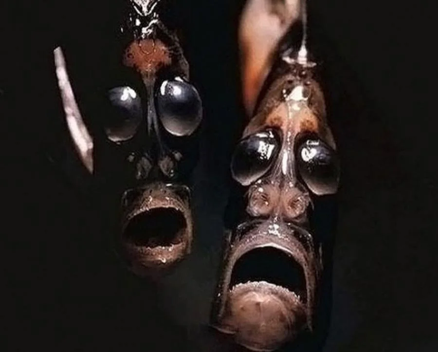 MARINE BIOLOGY & OCEAN SCI | 00316