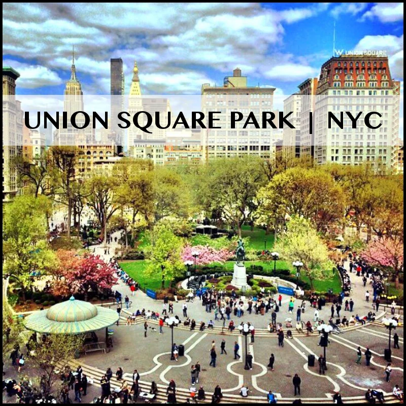 AESSV 2 | OM! UNION SQUARE PARK | NYC