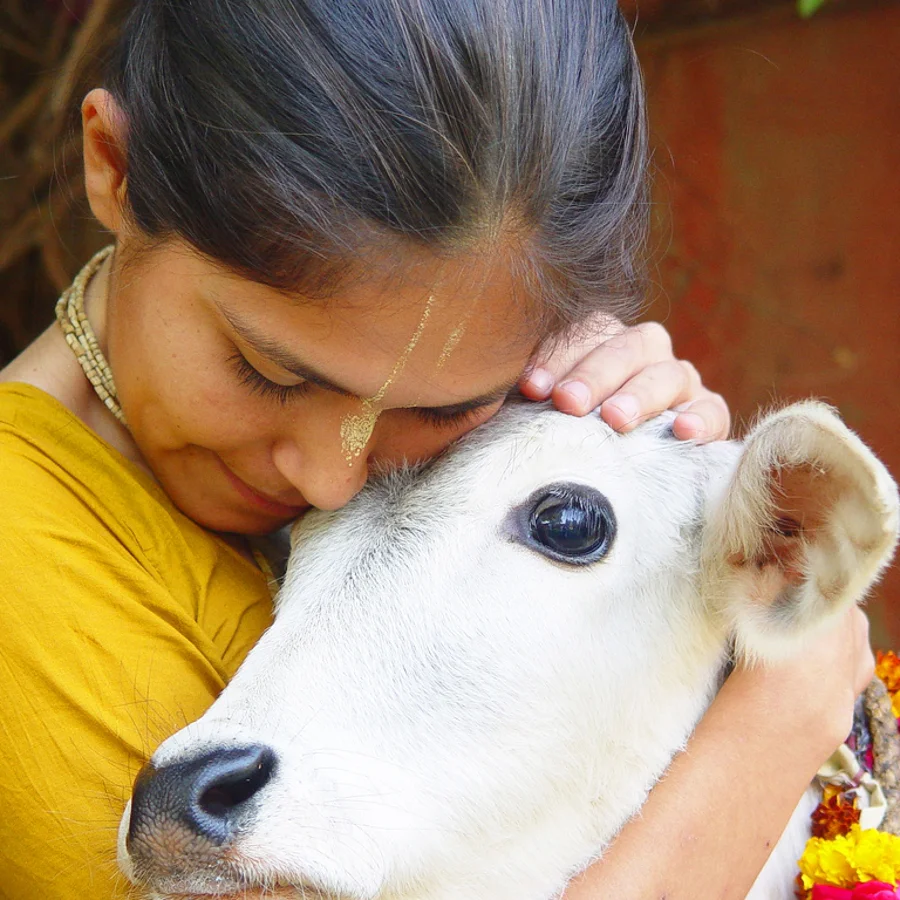 VEGAN & VEGETARIAN | 00003