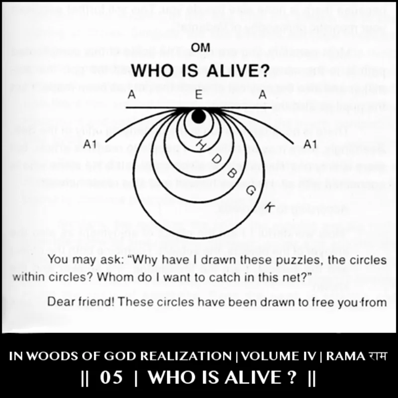 WHO IS ALIVE ? | 5.05 | PT006 TO PT010