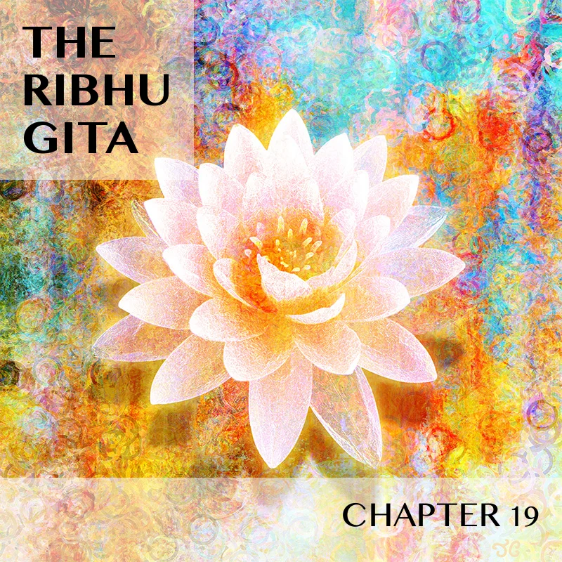 RIBHU_CHAPTER_19.jpg
