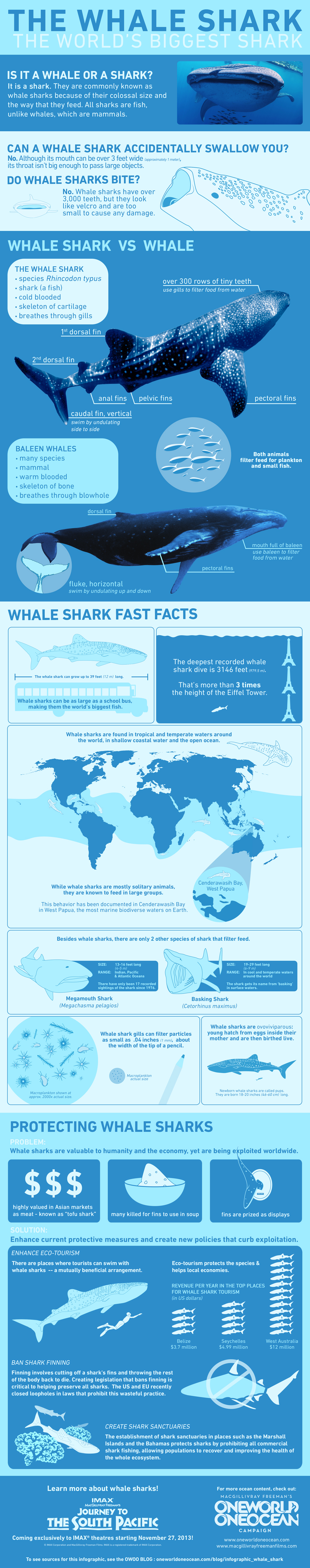 MARINE BIOLOGY & OCEAN SCI | 00371