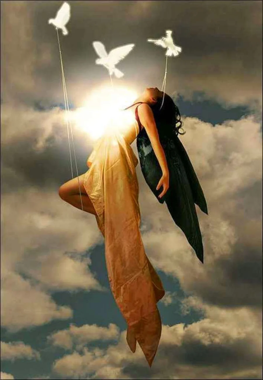 DIVINE ECSTASY | 00045