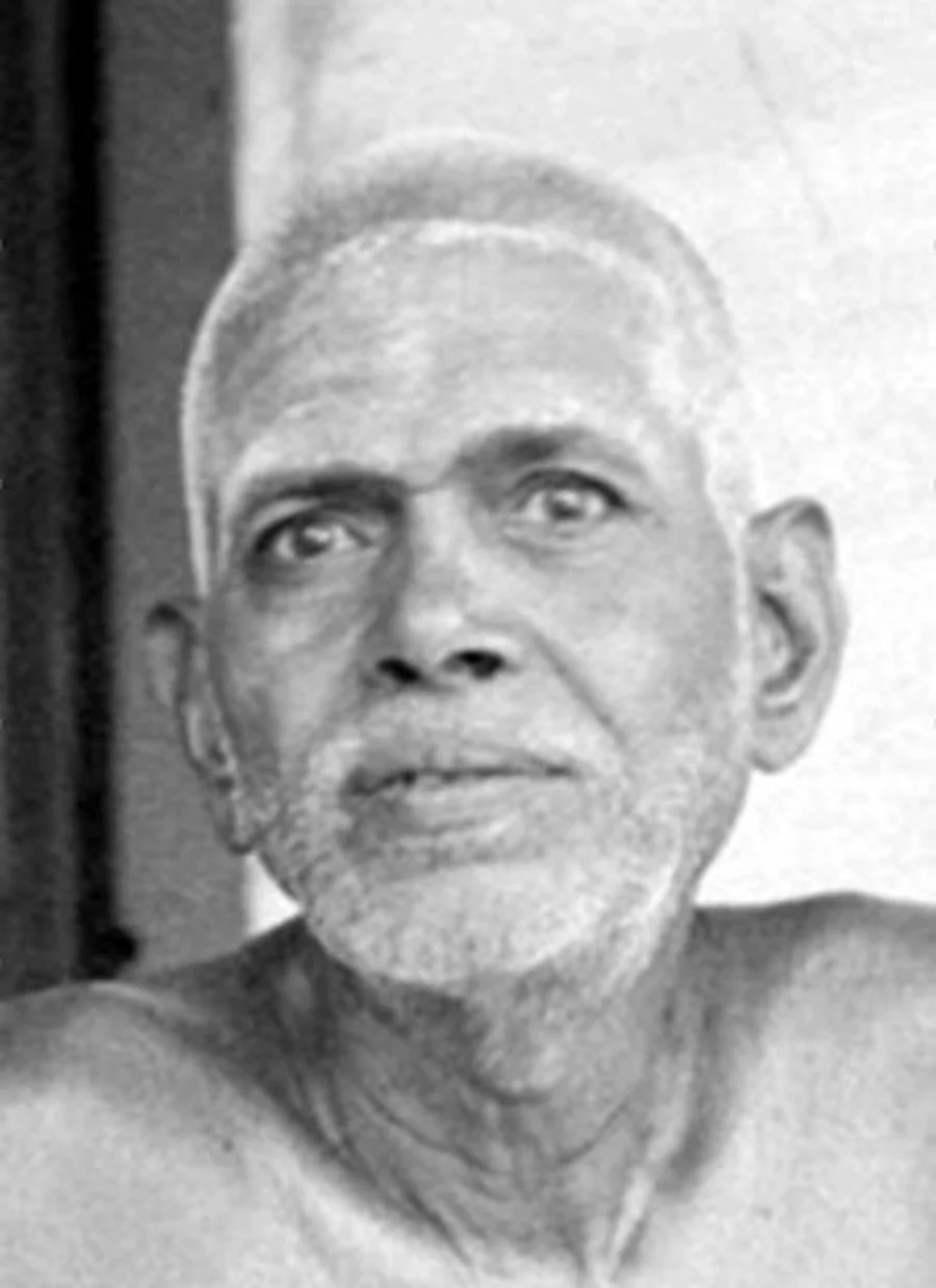 DIVINE ECSTASY | 00062