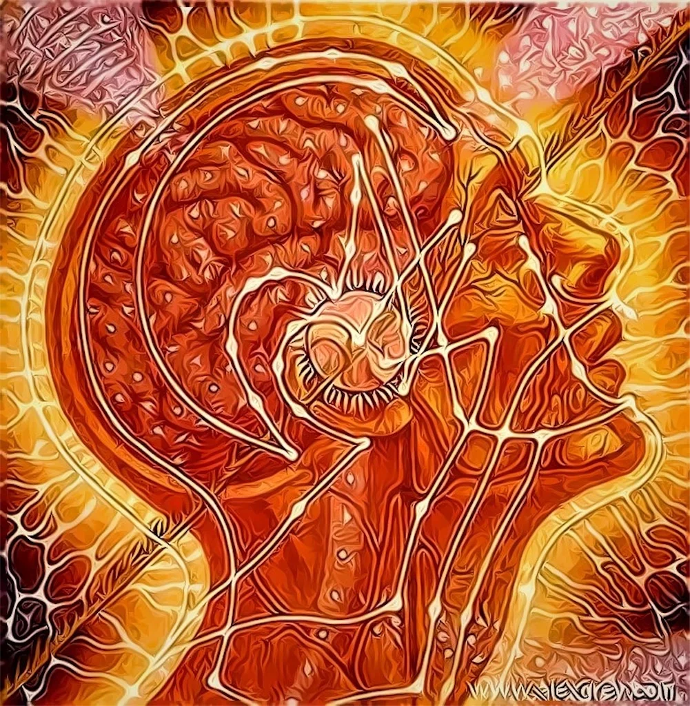 DIVINE ECSTASY | 00101