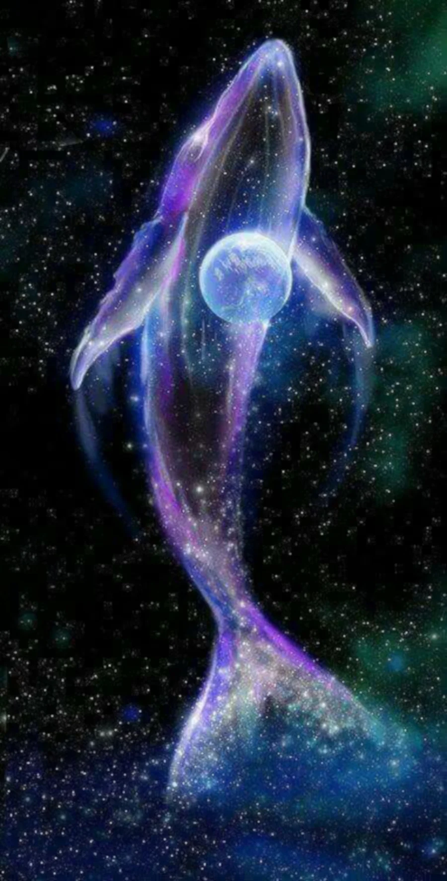 MARINE BIOLOGY & OCEAN SCI | 00377